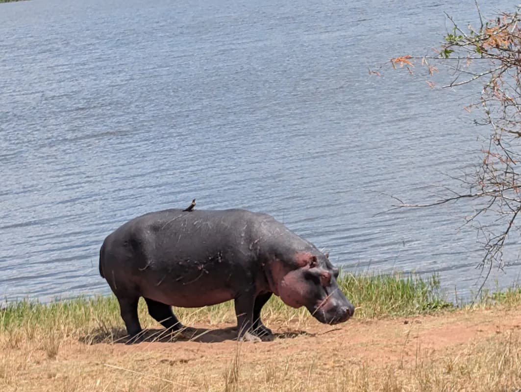 Nyungwe National Park Car Rental: Everything You Need to Know