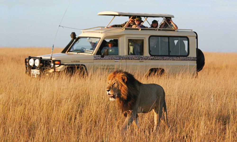 safari-vehicle 13